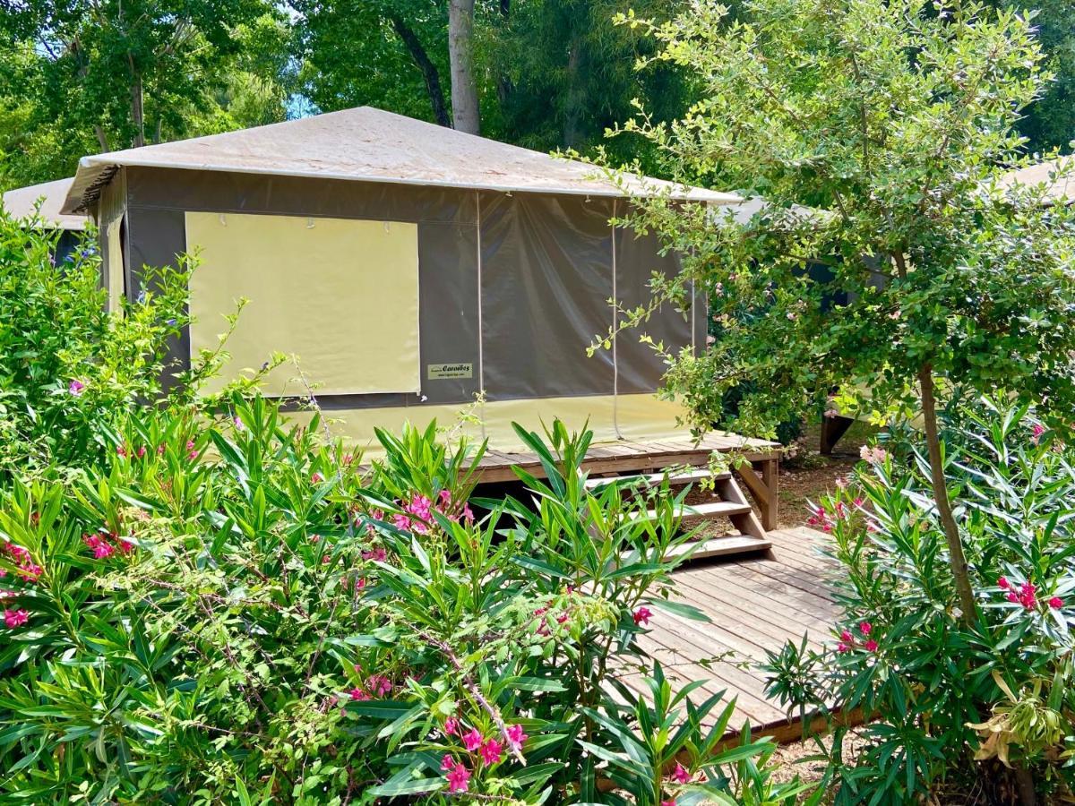 Camping Le Sagone แซโกน ภายนอก รูปภาพ